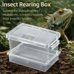 Insect Rearing Box for Dubia Roaches / Mealworms / Superworms / Crickets / Isopods / Stick Insects / Spiders