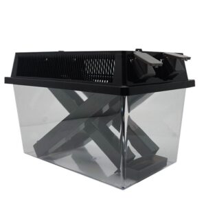 Cricket Breeding Kit