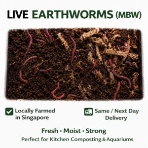 Live Earthworms (MBW)